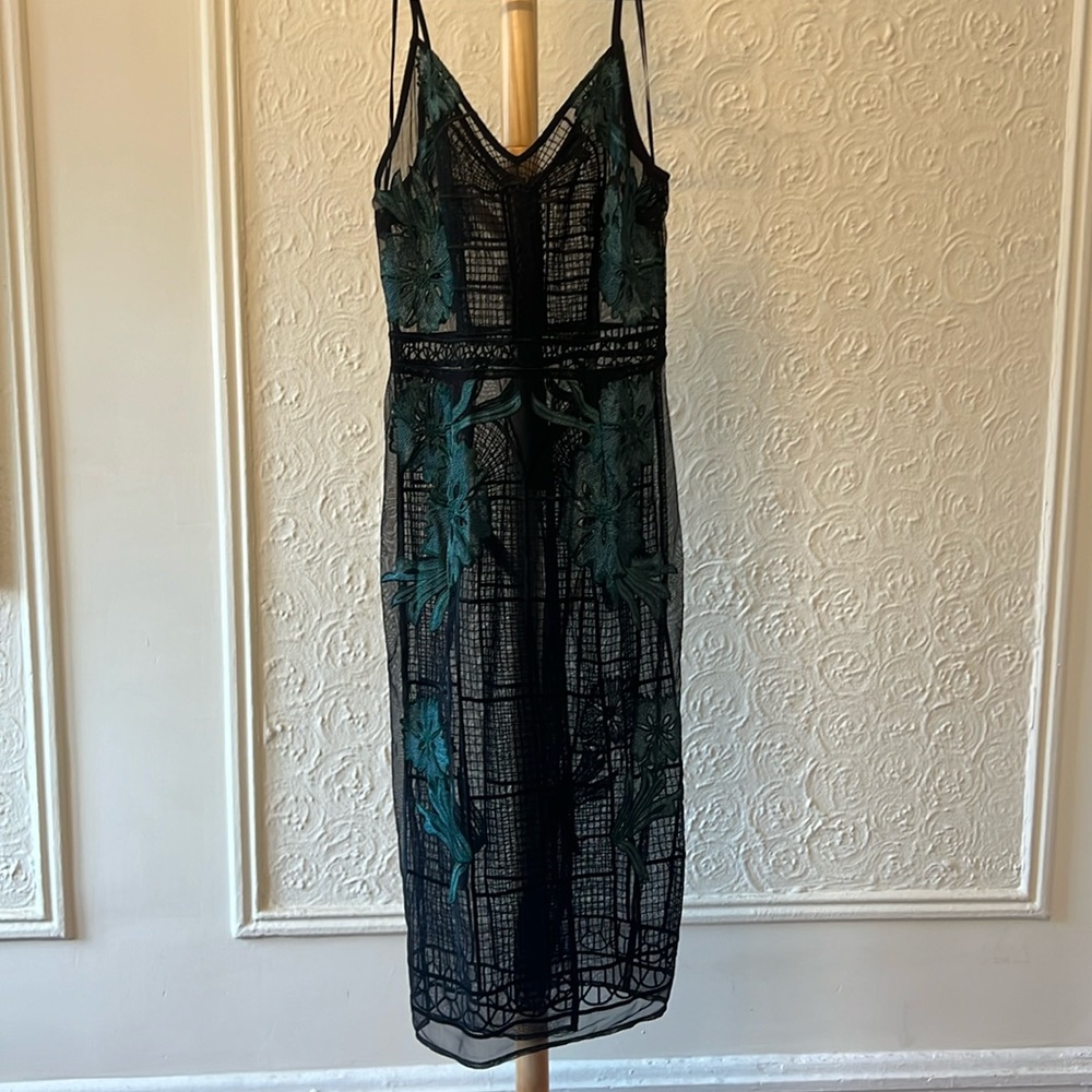 See-Through Black Dress